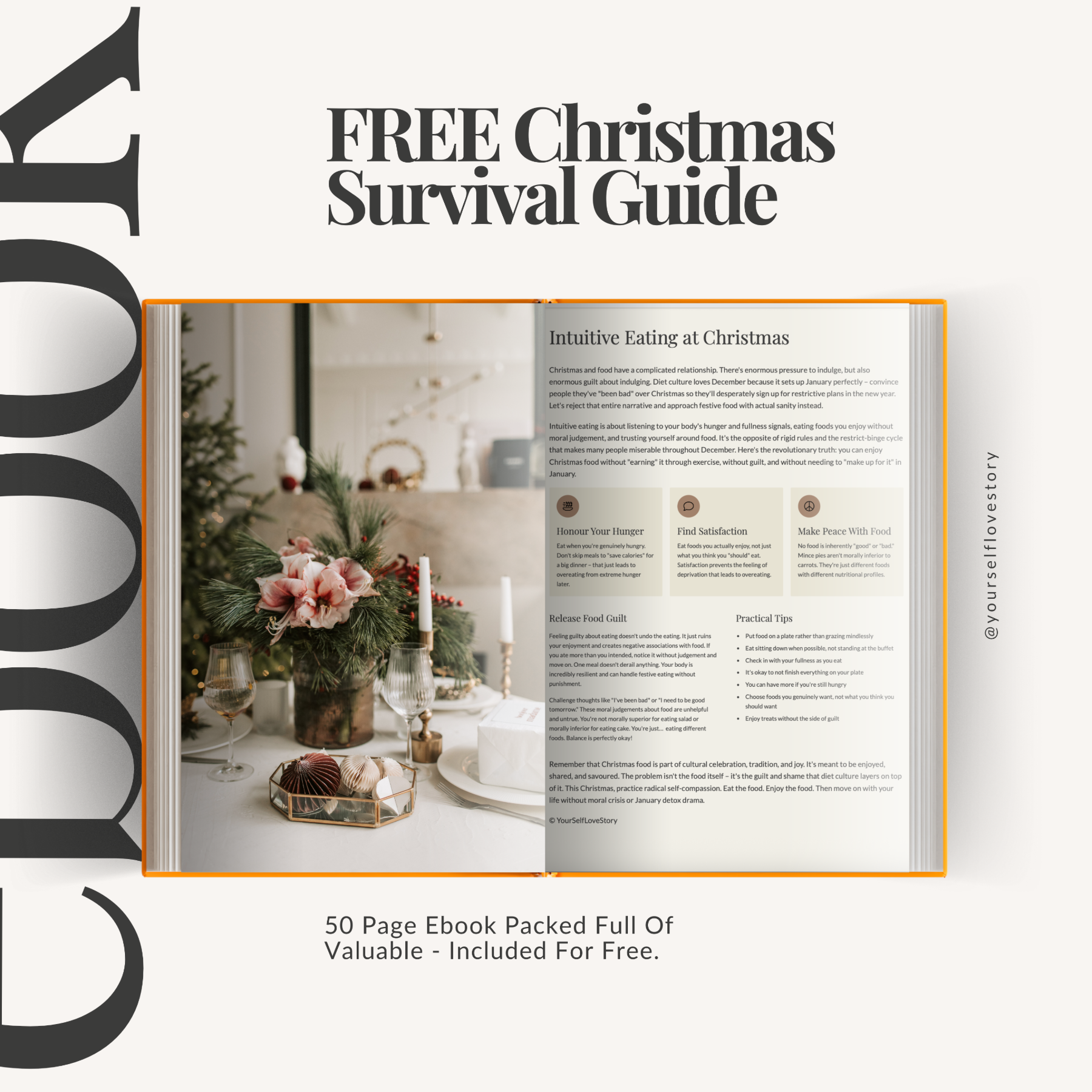 FREE Christmas Survival Guide Ebook (How To Survive Christmas)